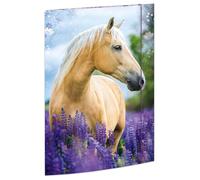 RNK 45381 - Drawing Folder Horse Dreams 310 x 440 mm, Document Folder for DIN A3, with Elastic Closure, Pack of 1