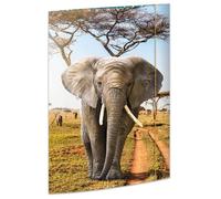 RNKVERLAG 45377 - Elephant Drawing Folder 310 x 440 mm, Document Folder for DIN A3, with Elastic Closure, Pack of 1