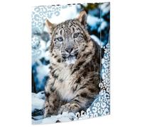 RNKVERLAG Drawing Folder Snow Leopard 320 x 430 mm for Formats up to DIN A3 with Elastic Closure Pack of 1