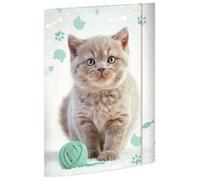 RNKVERLAG Kitty Portfolio Folder 320 x 430 mm for A3 Format with Elastic Closure Pack of 1