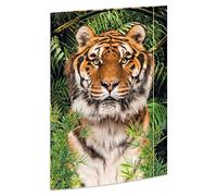 RNKVERLAG Tiger 45367 Folder 310 x 440 mm Document Folder for DIN A3 with Elastic Closure Pack of 1