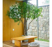 RNNYWDRQ Artificial Olive Tree 6FT,Tall Faux Potted Olive Silk Tree Horse Drunken Wood Branches and Fruits Artificial Green Plant for Home Office Living Room Decor Indoor H 2M/6.5FT