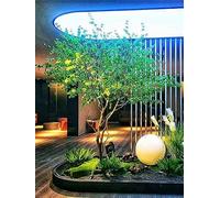 RNNYWDRQ Artificial Plant Japanese Hanging Bell Horse Drunk Wood Simulation Tree Large Fake Plants House Modern Greenery Decoration for Home Office Housewarming Garden Decor H 1.6M/5.2FT