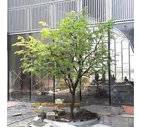 RNNYWDRQ Artificial Plant Japanese Hanging Bell Horse Drunk Wood Simulation Tree Large Fake Plants House Modern Greenery Decoration for Home Office Housewarming Garden Decor H 3.5M/11.4FT