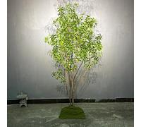 RNNYWDRQ Artificial Tree Faux Olive Silk Tree, Horse Drunken Wood Simulation Tree for Office House Farmhouse Living Room Home Decor (Indoor/Outdoor) 3m*2.3m