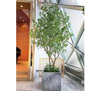 RNNYWDRQ Artificial Tree Horse Drunken Wood Simulation Tree for Home Decor Indoor Olive Trees Artificial Indoor Tree-Faux Olive Tree, Fake Olive Tree Faux Trees Indoor Tree,F 1.8m*1.5m
