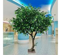 RNNYWDRQ Green Artificial Banyan Tree, Perfect Housewarming Gift Modern Home Indoor Outdoor Office Party Decoration Simulation Green Plants Green- 1.8x1.5m