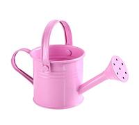 RNSUNH Mini Watering Can, 2Pcs Kids Children Garden Outdoor Watering Bucket Small Metal Watering Can with Handles for Outdoor and Indoor House Plants,2.95 x 5.9inch