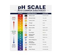RNUMLIGH Acids Bases and pH Scale Chart Science Chemistry Educational Poster for Classroom Middle School High Homeschool Study Decor(Framed,12X18inch(30X45cm))