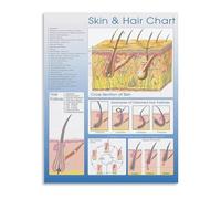 RNUMLIGH Beauty Reference Poster Skin and Hair Type Analysis Care Routine Guide Canvas Wall-Art for Salon Studio Home(Unframed,12x18inch(30x45cm))