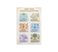 RNUMLIGH Brain Chemicals Chart Neurotransmitters Neuroscience Poster Dopamine Serotonin GABA Educational Wall-Art For Classroom Office Decor(Unframed,16x24inch(40x60cm))