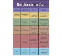 RNUMLIGH Brain Health Educational Canvas Wall-Art Neurotransmitter Chart Neuroscience Science Art for Study Living Room Decor(Framed,12x18inch(30x45cm))