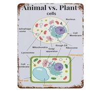 RNUMLIGH Distressed Cell Biology Diagram Tin Sign Animal and Plant Educational Chart Wall Hanging for Homeschool Science Corner 8 X 12 inch