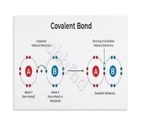 RNUMLIGH Educational Wall-Art for Science Class Chemical Bonding Poster Canvas Print Models Chart School Decor Teaching Resource(Framed,12x18inch(30x45cm))