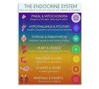 RNUMLIGH Endocrine System Poster Science and Spirituality of Inner Chart Mind Body Connection Wall-Art(Unframed,16x24inch(40x60cm))