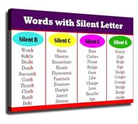 RNUMLIGH English Spelling Rules Poster Common Silent Letters Guide Educational Chart Language Arts Wall Decor for Classroom Study Home(Framed,08x12inch(20x30cm))