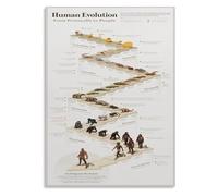 RNUMLIGH Human Evolutionary Chart Metal Sign Science Themed Wall Decor Educational Timeline from Primates to Man Classroom Office 8 X 12 in