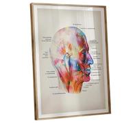 RNUMLIGH Human Muscle Anatomy Chart - Watercolor Medical Art Poster with Labels, Educational Decor for Students, Therapists & Clinics(Framed,12x18inch(30x45cm))