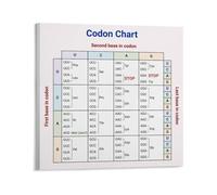 RNUMLIGH MRNA Codon Chart Genetic Code Table Amino Acids Poster Biology Study Guide Science Classroom Wall-Art Office Home School Decor(Unframed,12x18inch(30x45cm))