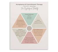 RNUMLIGH Office Wall-Art ACT Hexaflex Model Poster Acceptance and Commitment Psychology Educational Print(Framed,16x24inch(40x60cm))