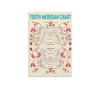 RNUMLIGH Tooth and Meridian Chart, Informative Canvas Wall-Art Poster, Decoration for Holistic Practitioner's Office or Study Room(Unframed,08x12inch(20x30cm))