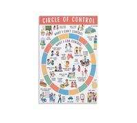 RNUMLIGH What I Can and Cannot Control Poster: Mental Health Tool for Anxiety, Circle of Guide for Classroom & Office Decor(Framed,16x24inch(40x60cm))