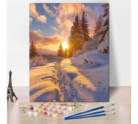 RNXAOPEN DIY Painting by Numbers Kits Ink Style Winter Snow Scene Hobbies for Women Oil Painting for Kids Paint by Number for Adults Beginner Canvas Arts Crafts for Home Decor 24x31In/60x80cm 8048-V