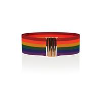 Ro Rox Rainbow Elastic Waist Belt for Women | Wide Stretch Cincher Belt for Dresses & Tops - Adjustable Retro Pride Belt, Silver Buckle, Rainbow, L