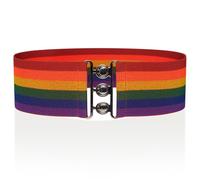 Ro Rox Rainbow Elastic Waist Belts for Women | Wide Stretch Cincher Belt - Nurse Belt Style Closure, Retro Pride Belts, Silver Buckle, M
