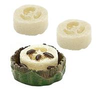 Roach Feeder Bowl - Loofah PVC 7x7x2cm | Feeding Dish For Reptiles Loofah Insert, Easy Water Access, Leak-Proof Power | Terrar Feeding Station