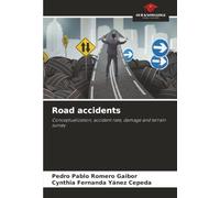Road accidents: Conceptualization, accident rate, damage and terrain survey