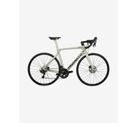 Road Bike Pinarello Paris gray. - 56