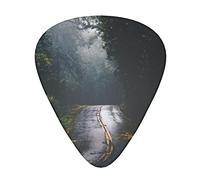 road landscape Guitar Picks 12 Pack Set Guitar Gift for Bass Picks Acoustic Guitars Plectrums with Clear Storage Box
