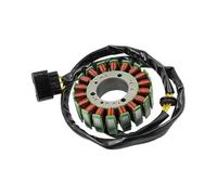 Road Passion Motorcycle Ignitor/Stator Coil For ATV UTV 800