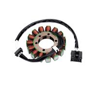 Road Passion Motorcycle Ignitor/Stator Coil For RSV4 RF 1000 Factory Tuono 1100 V4 1000 2D000049