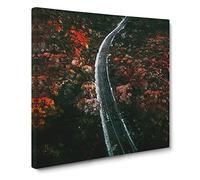 Road Through a Forest in Ukraine Canvas Print | Gallery Wrapped 30mm Frame Wall Art | 20x20 inches | Ready to Hang | Modern Landscape Picture | Living Room Bedroom Lounge Office