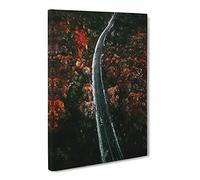 Road Through A Forest In Ukraine Canvas Print | Gallery Wrapped 30mm Frame Wall Art | 30x20 inches | Ready to Hang | Modern Landscape Picture | Living Room Bedroom Lounge Office