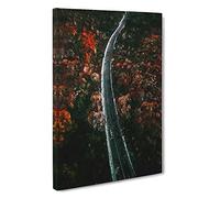 Road Through a Forest in Ukraine Canvas Print | Gallery Wrapped 30mm Frame Wall Art | 30x20 inches | Ready to Hang | Modern Landscape Picture | Living Room Bedroom Lounge Office