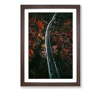 Road Through a Forest in Ukraine Framed Print | A2 Walnut Framed Wall Art | Ready to Hang | Modern Landscape Picture | Living Room Bedroom Lounge Office