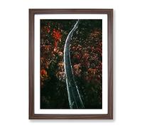 Road Through A Forest In Ukraine Modern Framed Print | A2 Walnut Framed Wall Art | Ready to Hang | Modern Landscape Picture | Living Room Bedroom Lounge Office