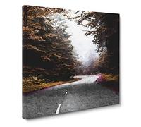 Road Through Redwood National Park in California Canvas Print | Gallery Wrapped 30mm Frame Wall Art | 20x20 inches | Ready to Hang | Modern Landscape Picture | Living Room Bedroom Lounge Office