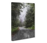 Road Through Redwood National Park In California Canvas Print | Gallery Wrapped 30mm Frame Wall Art | 30x20 inches | Ready to Hang | Modern Landscape Picture | Living Room Bedroom Lounge Office