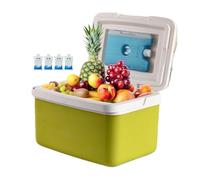 Road Trip Hard Cooler - Personal Cooler with Handle | 15L Drinks Cooler, Outdoor Camping Cooler, Food and Drink Storage, Portable Cooling Accessories for Picnics, Tailgate, Wall