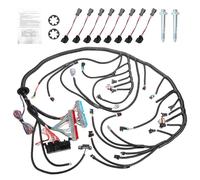 ROADGIVE LS Swap Standalone Harness with 4L60E Transmission, Engine Wiring Harness Compatible with 1997-2006 GM DBC LS1 4.8 5.3 6.0 Vortec Engines Drive by Cable 4L60E