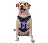 Roads of The Future Large Printed pet Traction Vest for Pets to wear When Walking The Dog or Climbing Mountains