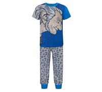 Roald Dahl Boy's Short Sleeve Long Leg Pyjama Set | Boys Blue | Official | Size: 11-12 Years Roald Dahl Blue 11-12 Years