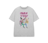 Roald Dahl Charlie & The Chocolate Factory Short Sleeved T-Shirt | Unisex Kids Grey Marl | Officially Licensed Merch | Size: 11-12 Years Roald Dahl Grey 11-12 Years