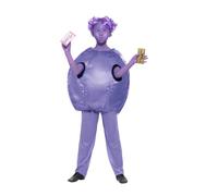 Roald Dahl Deluxe Violet Beauregarde Costume,Licensed Fancy Dress, Age 10-12