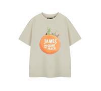 Roald Dahl James and The Giant Peach Kids Cartoon Graphic Tee | Beige Classic Top for Unisex Children | Old Green Grasshopper Miss Spider Silkworm Centipede Characters