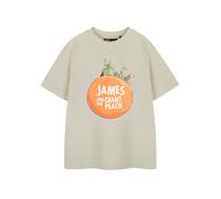 Roald Dahl Kids Short Sleeved T-Shirt (Unisex Kids Oatmeal) in Beige | Size: 3-4 Years Roald Dahl Beige 3-4 Years